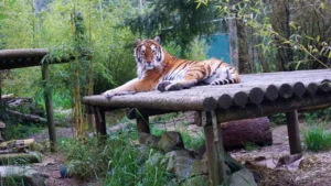 00_A5B2833246C1E1280 » The Mainstream