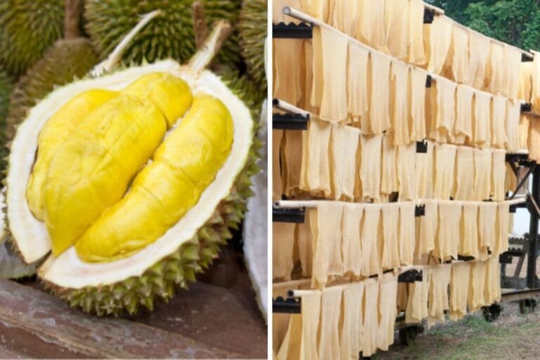 แรงหนุนส่งออกทุเรียน-ยางพารา ดันค้าชายแดน-ผ่านแดน ส.ค. 67 โต 16.2%