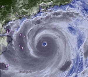 835124 » The Mainstream