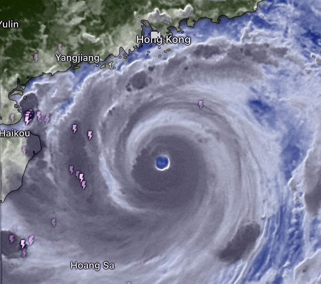 835124 » The Mainstream