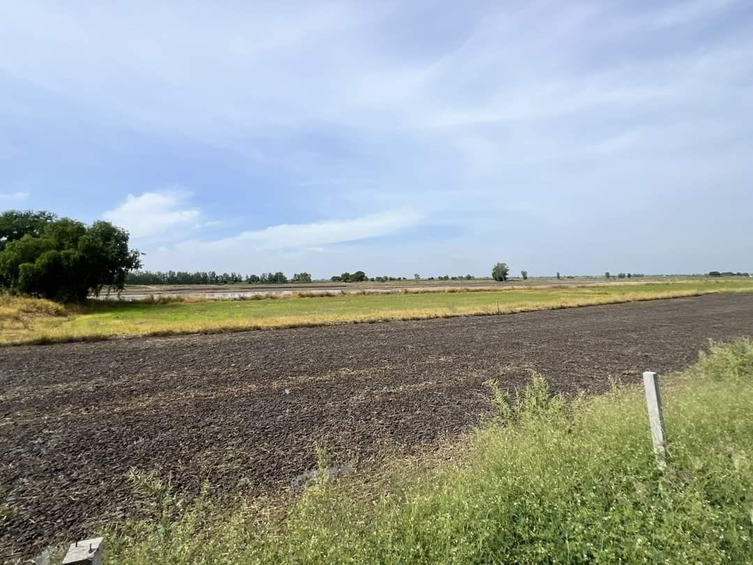 841523_0 » The Mainstream