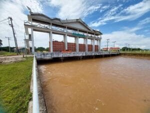 856435 » The Mainstream