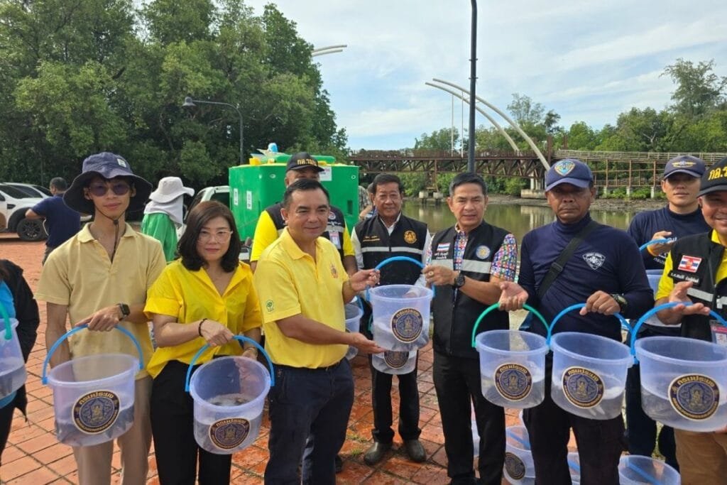 CPF-1-1024x683 » The Mainstream