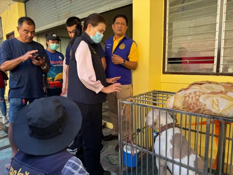 หาคนใจบุญรับเลี้ยง “จ็อด” อเมริกันบูลลี่ หลังขย้ำพระเลขาวัดดังนนทบุรีดับ