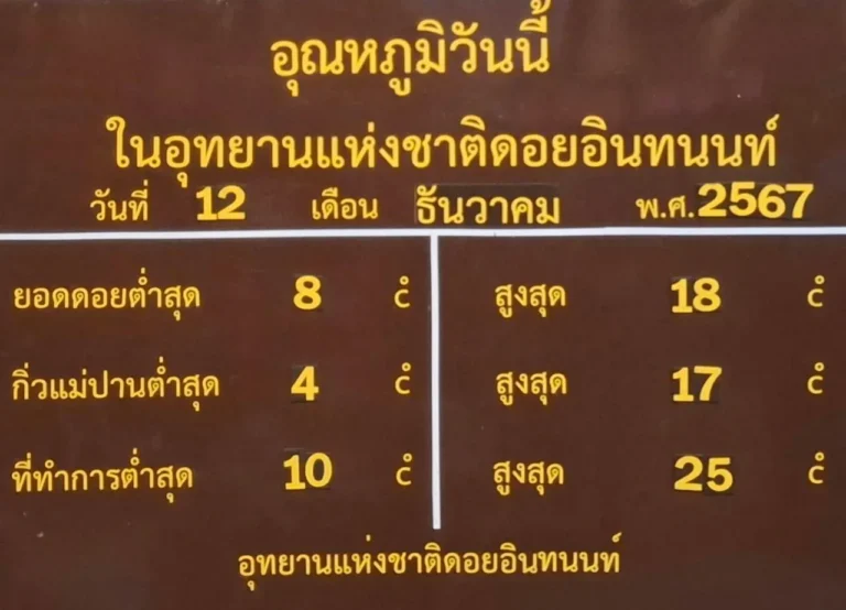 มาแล้ว “เหมยขาบแรกของปี” บนดอยอินทนนท์ กิ่วแม่ปานอุณหภูมิลดต่ำสุด 4 องศาฯ