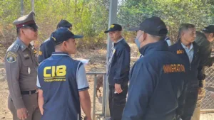 Dtbezn3nNUxytg04avet5hKi77itYRtrejFqhhnzgdvSIF » The Mainstream