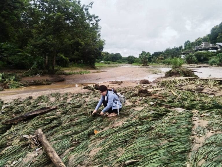 สั่งเกษตรจังหวัดสำรวจความเสียหาย ฟื้นฟูหลังน้ำลด 23 จังหวัด อ่วม 7.5 แสนไร่