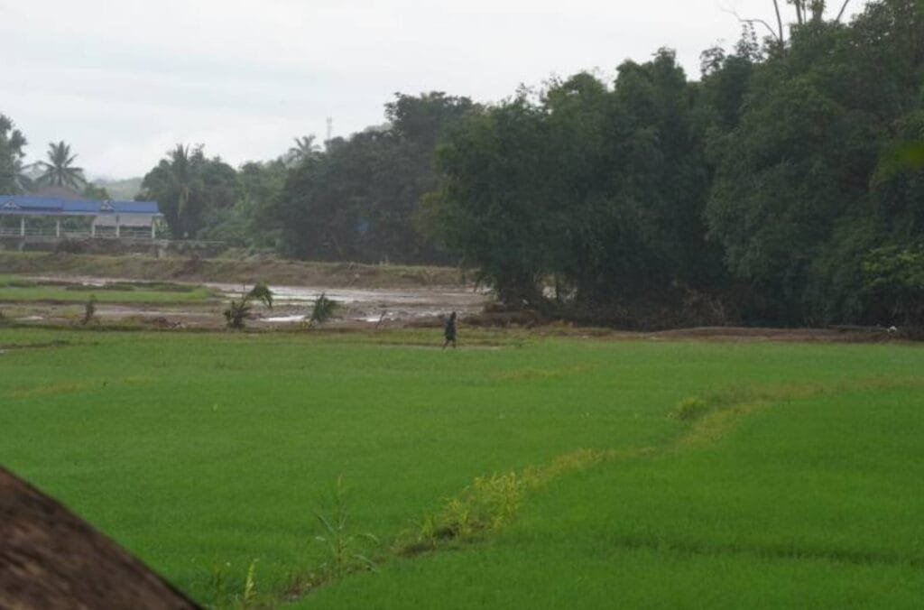 Screenshot 2024-10-01 162136 » The Mainstream