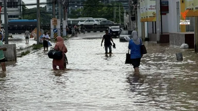 ห่วงฉี่หนู-ไข้ดินระบาดช่วงน้ำท่วม-ต้นหนาวป่วยสะสม 6 พันคน