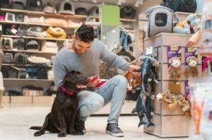 Screenshot 2024-10-31 092610 » The Mainstream