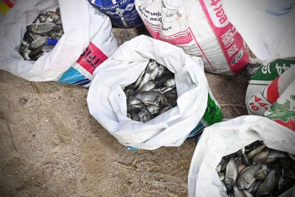 cover-2024-07-17T120222.194-1024x683 » The Mainstream