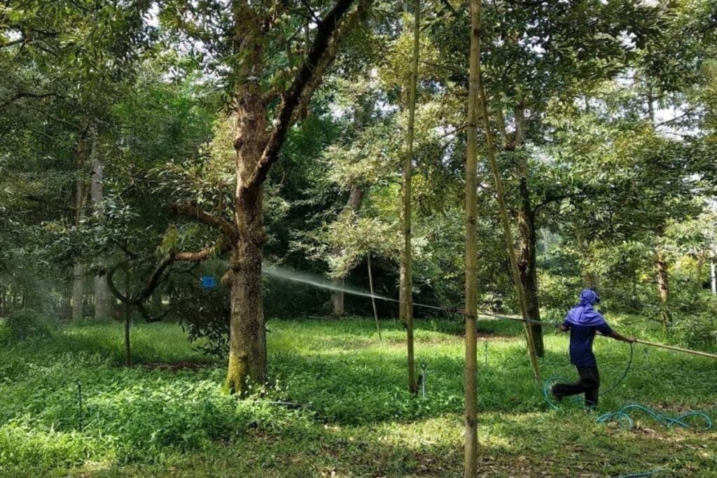 cover-2024-08-12T100924.360-1024x683 » The Mainstream