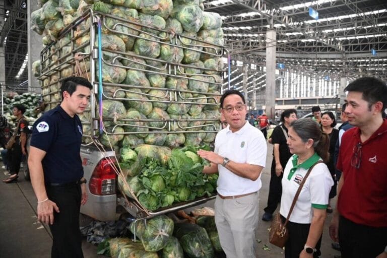 พาณิชย์ แจ้งข่าวดีกินเจปี 67 ผักสดราคาไม่แพง หลายชนิดปรับลดลง