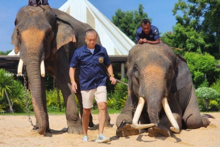 เนวิน​ ทำบุญวันเกิด​​ 66 ปี ครูใหญ่ ภท.สั่งหมอช้างผูกข้อมือ อนุทิน​ ให้เป็นนายกฯ