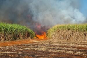 cover-2024-10-30T103133.192-1024x683 » The Mainstream