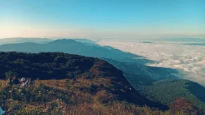 dFQROr7oWzulq5Fa6 » The Mainstream