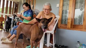 dFQROr7oWzulq5Fa6rHDwS1iW » The Mainstream