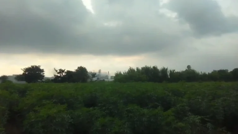 นายอำเภอศรีมหาโพธิ สั่งโรงงานระงับการผลิต หลังชาวบ้านได้กลิ่นคล้ายสารเคมีรั่ว