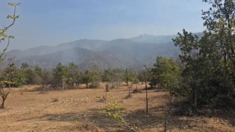 ลามเสียหายกว่า 200 ไร่ ไฟป่าเขต “วนอุทยานเขาหลวง” จนท. เร่งดับไฟ-ทำแนวป้องกัน