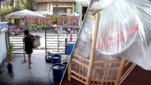 dFQROr7oWzulq5Fa6rMknvdPWroqkZIML7b7y1zDrrgkXsLoMG6qB7YzQUvacwUerNu » The Mainstream