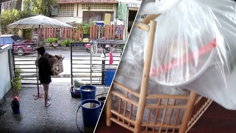 สาวประกาศมอบ 10,000 บาท ตามหา “ตะกร้าของย่า” เผยมีคุณค่าทางจิตใจ