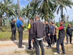 s__6619176_0 » The Mainstream