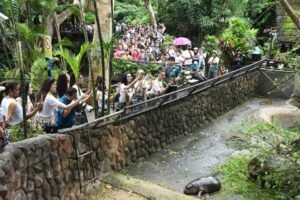 website-2024-10-16T173916.651-1024x683 » The Mainstream