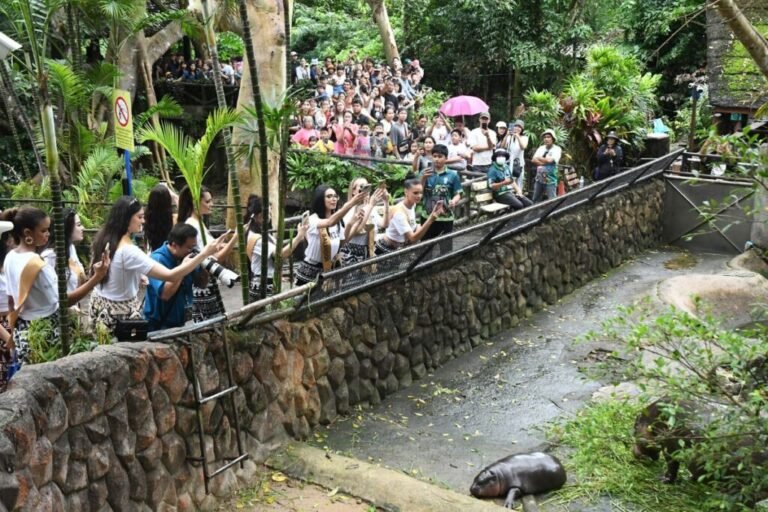 มิสแกรนด์อินเตอร์เนชั่นแนล เยือนสวนสัตว์เขาเขียว ชมความน่ารัก ‘หมูเด้ง’