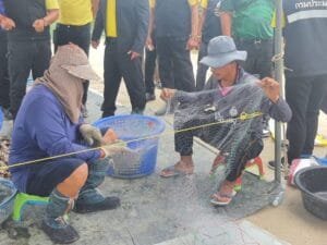 ข้อความในย่อหน้าของคุณ41-1-1024x768 » The Mainstream