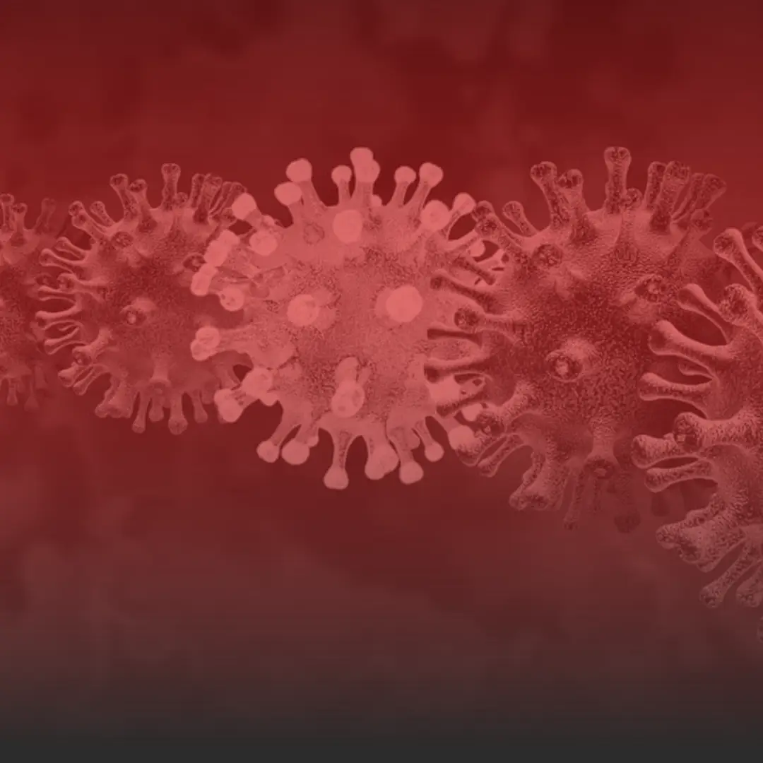 จับตาโควิดสายพันธุ์ Cicada BA32 กลายพันธุ์สูง แพร่แล้วกว่า 20 ประเทศ » The Mainstream