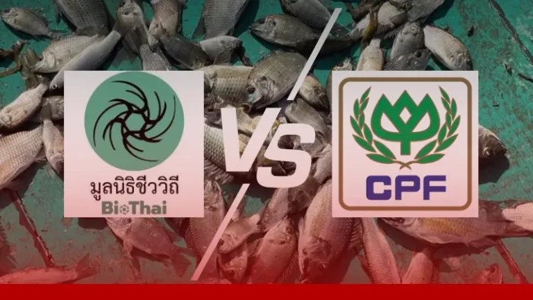 อัยการสั่งฟ้อง Biothai คดีปลาหมอคางดำ หลังซีพีเอฟชี้ให้ข้อมูลเท็จ