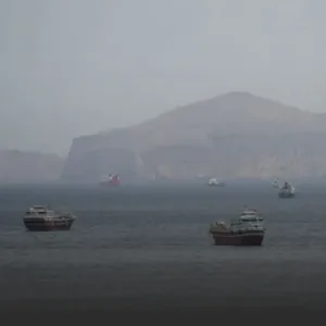Several large ships floating on a calm sea with a hazy rocky coastline in the background.