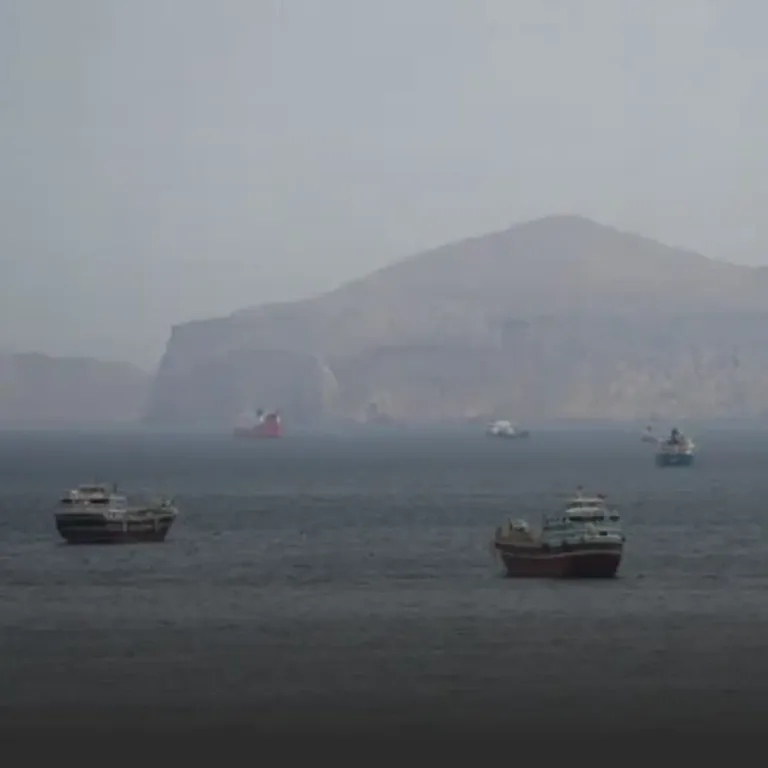 Several large ships floating on a calm sea with a hazy rocky coastline in the background.